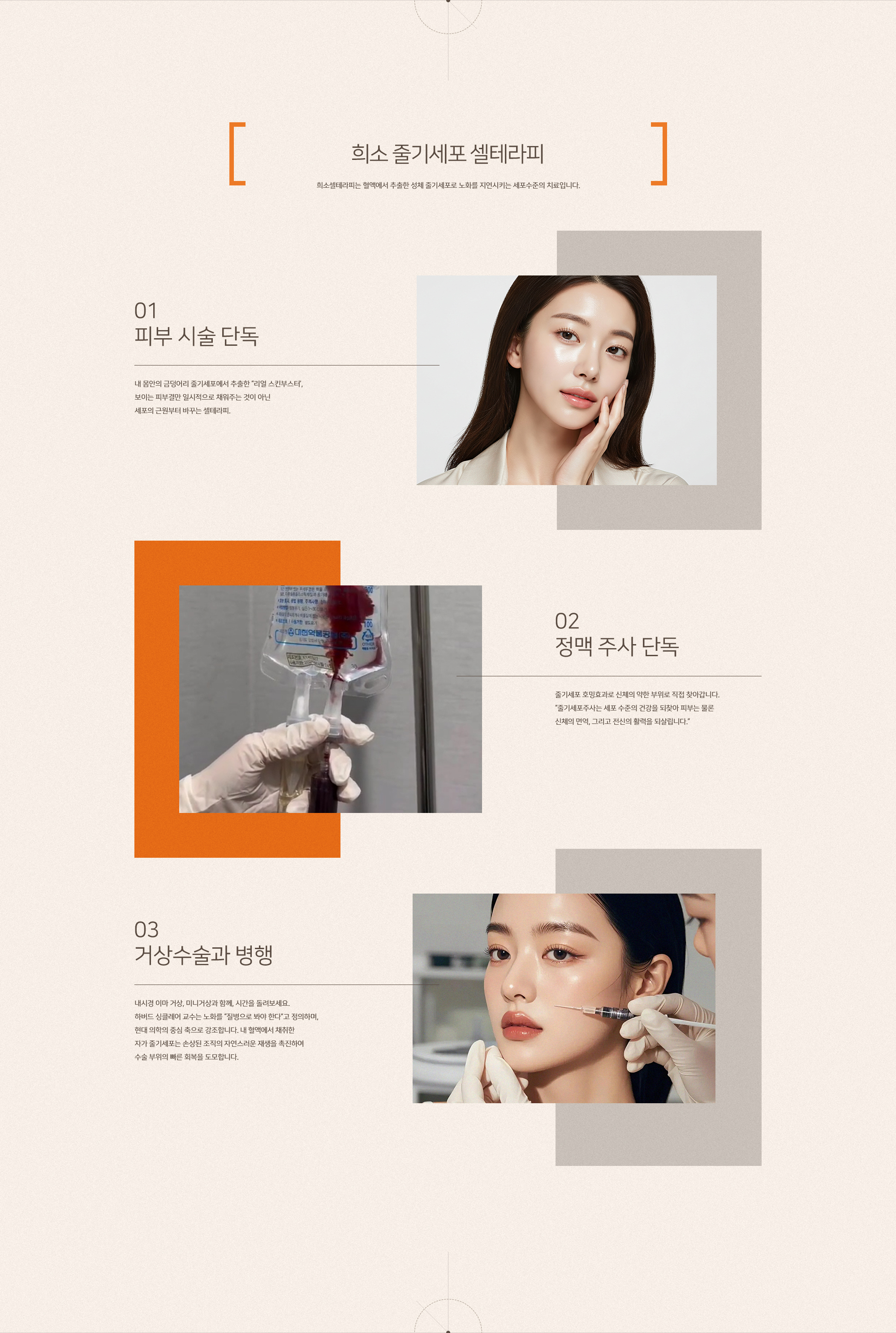 줄기세포 셀테라피