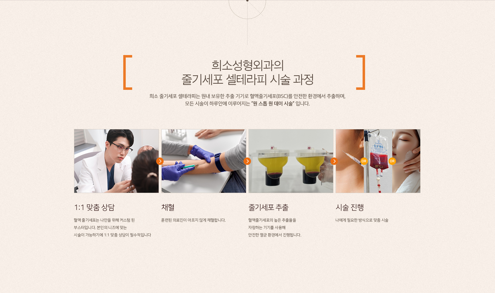 줄기세포 셀테라피